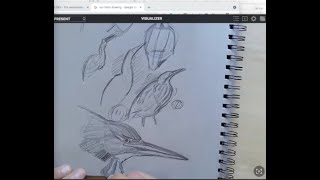 Drawing the Bittern