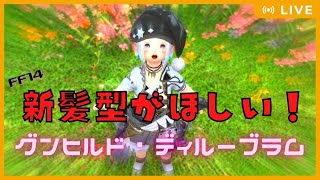 【FF14】シャバの空気はうまかった･･･髪型出るまで諦めないグンヒルドディルーブラム周回 #31