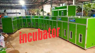 Expert Farmer Reveals Secrets to FULLY AUTOMATIC Eggs Incubator, 176eggs up to 10000eggs capacity