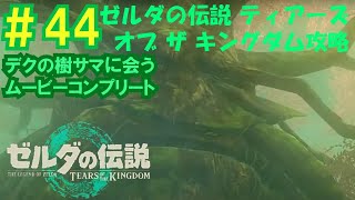 【ゼルダの伝説：ティアーズ オブ ザ キングダム【ネタバレ】#44 デクの樹サマに会う ムービーコンプリート