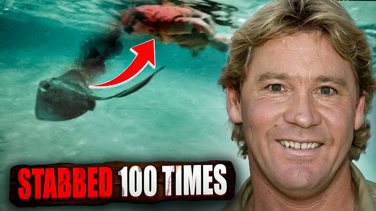 Bara Di Steve Irwin Steve Irwin Lost His Australian Of The Year Award