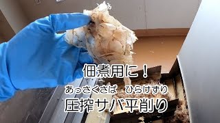 佃煮用に！業務用の鰹節工場【圧搾サバ　平削り】製造中　2019／7／16