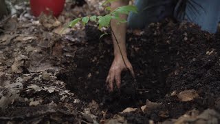 Engineering Sustainability at TransPak | Smarter, Greener Packaging Solutions