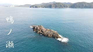 【川内沖】鴨ノ瀬 グレ釣り