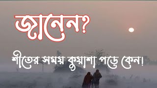 শীতকাল।শীতের সময় কুয়াশা পড়ে কেন।শীতের কুয়াশা।