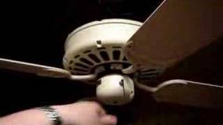 Random Vids Of My Fan Collection