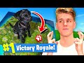 Using A PUPPY To WIN FORTNITE Battle Royale! Using A PUPPY To WIN FORTNITE Battle Royale!