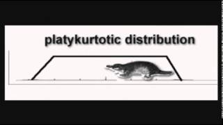 Normality explanation