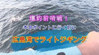 広島湾でライトジギング　【ブリ、ハマチ】