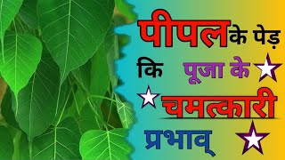 Peepal ke ped ki puja ke chamatkari prabhav | Peepal tree benefits