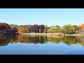 長居植物園　大池周辺の紅葉