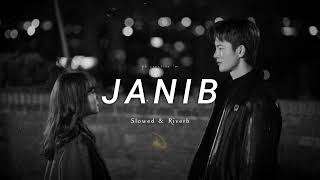 JANIB (slowed + reverb) | full song  #feelthemusic   #lofimusic@pbcreation1m