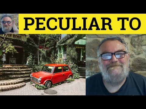 What is an example of peculiar?