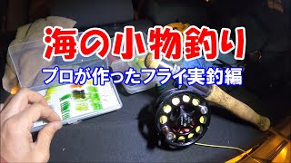 プロタイヤーさんのフライで海の小物釣り2021年2月6日