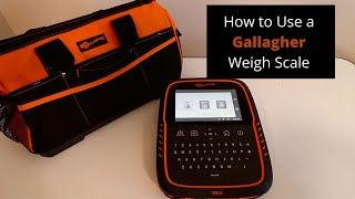 How To Use A Gallagher Weigh Scale// EASY AS: Using a iPad