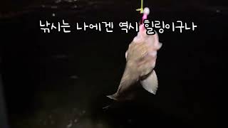 #시화방조제 #fishing #베이트피네스 #애럭 #쓰레기투기는범죄