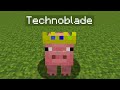 Technoblade Pig is here