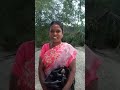 vallalar gurukulam siddha vaithiya salai patient feedback