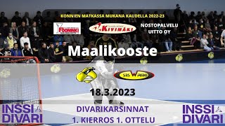 Maalikooste Konnat - SBS Wirmo 18.3.2023 DIVARIKARSINNAT