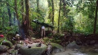 Solo Bushcraft Jungle Forest, Natural Shelter on Land Split by River Water, relaxing sound of water