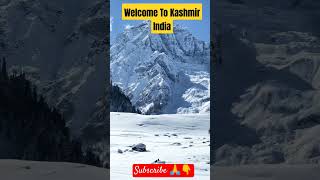 Kashmir World's 🌎 Heaven,A Must Visit Place For Everyone #kashmir #kashmiri #kashmirtour #foreigntou