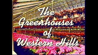 Under Glass: The Greenhouses of Western Hills