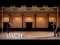 Bach - Canon a 2 Cancrizans from The Musical Offering BWV 1079 | Netherlands Bach Society