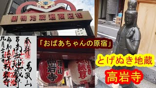 【御朱印巡り】「おばあちゃんの原宿」とげぬき地蔵 高岩寺