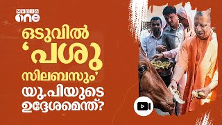 'പശുക്കളെ കുറിച്ച് കുട്ടികൾ പഠിക്കണം'; യു.പിയിൽ ഇനി 'പശു സിലബസും' | UP | Cow Syllabus #nmp