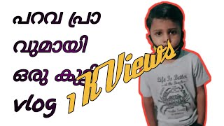 പറവ പ്രാവുമായി ഒരു കുട്ടി vlog