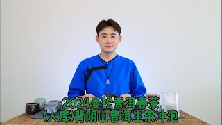 2024曼松普洱春茶（已入库）背阴山普洱生茶冲泡