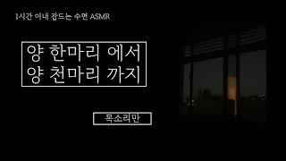 수면 ASMRㅣ 60분 안에 잠들게 만드는 양 한마리부터 천마리ㅣ목소리만, 숙면, 재워주는