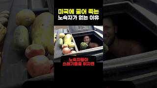 미국에 굶어 죽는 노숙자가 없는 이유