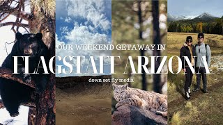 Weekend Getaway in Flagstaff, AZ | Hikes, Wildlife, History, Breweries, Museums, & Arizona's Wonders