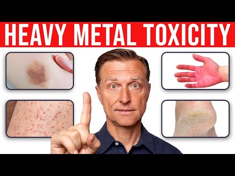 Can cadmium be absorbed through the skin?