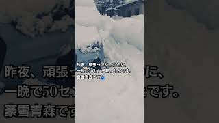 ダイハツロッキー4WDが埋まる豪雪青森を象徴する動画 #トヨタライズ #automobile #snow #ロッキーハイブリッド #rocky #ロッキー #winter