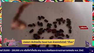 แหลงสักหิด.. สะกิดข่าว ตอน เกษตรฯ ดันไทยเป็น Seed hub ด้วยเทคโนโลยี “จีโนม”