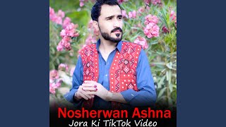 Jora Ki TikTok Video