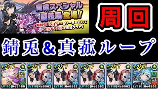 【パズドラ】「育成スペシャル闘技場」が登場！！錆兎\u0026真菰ループ入りの超転生ラクシュミー×極醒シェアトパーティで快適周回！！