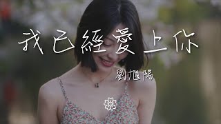 劉旭陽 - 我已經愛上你『那晚陪着你的夜 因爲我已愛上你』【動態歌詞Lyrics】