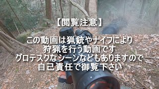 【閲覧注意】忍び猟で鹿の心臓を狙い撃つ6【狩猟】