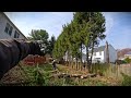 Customer Wants ALL TWENTY Pine Trees GONE | Difficult Removal