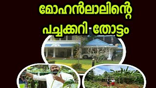 മോഹൻലാലിന്റെ വീടും പച്ചക്കറി തോട്ടവും | Mohanlal Organic Farming at Home |മോഹൻലാലിന്റെ കൃഷി