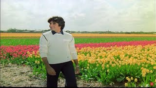 Dekha Ek Khwab | Amitabh Bachchan | Silsila | Full HD