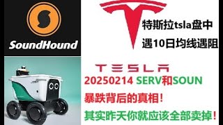 20250214 SERV和SOUN暴跌背后的真相！其实昨天你就应该全部卖掉！特斯拉tsla盘中遇到10日均线遇阻！#serverobotics #soundhound #tsla #特斯拉