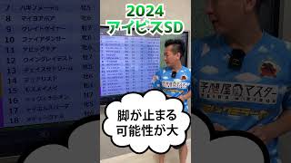 ワンポイント予想～アイビスSD 2024 #ウイングレイテスト,#チェイスザドリーム,#モズメイメイ