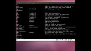 Debug Kernel 2.6.32 with KDB on Debian 6.0