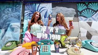 תגידו שלום לנסיכות הצ׳אי של ויסוצקי ותנובה - כרקוקלי 😍