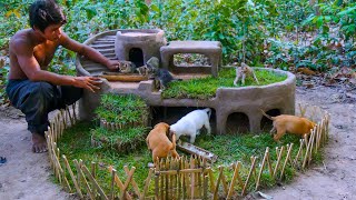 Collect Meowing Kittens From High Tree Hole Building Cat Mud House For Kittens