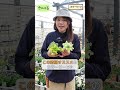 【華やかな春に♪】3月の”おすすめのお花”をご紹介します♪